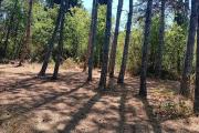 Camping Kiparisi