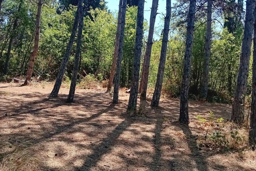 Camping Kiparisi