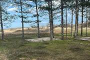 Camping Green Camps