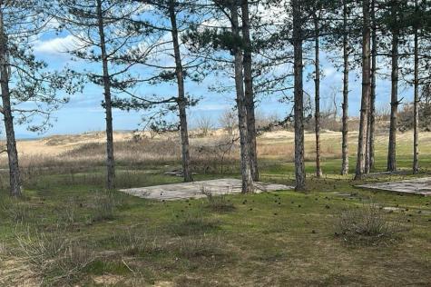 Camping Green Camps