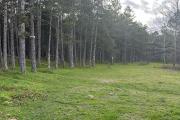 Camping Green Camps