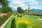Camping Mantar