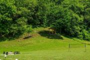 Rechen Rat Glamping