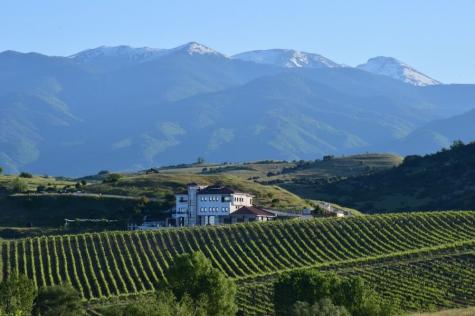 Stellplatz Villa Melnik