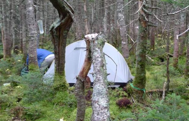 9 съвета за избор на място при диво къмпиране